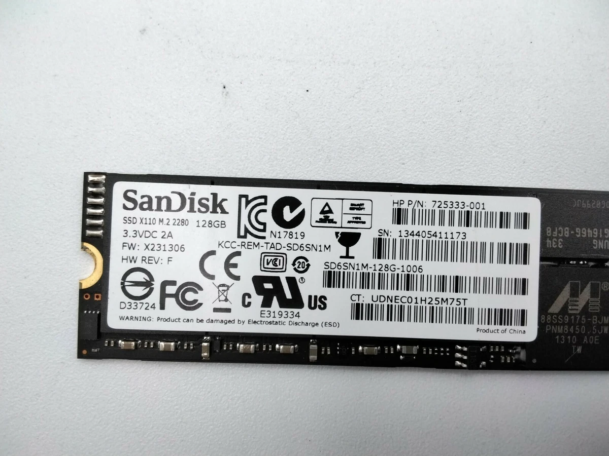 Sandisk ssd best sale x110