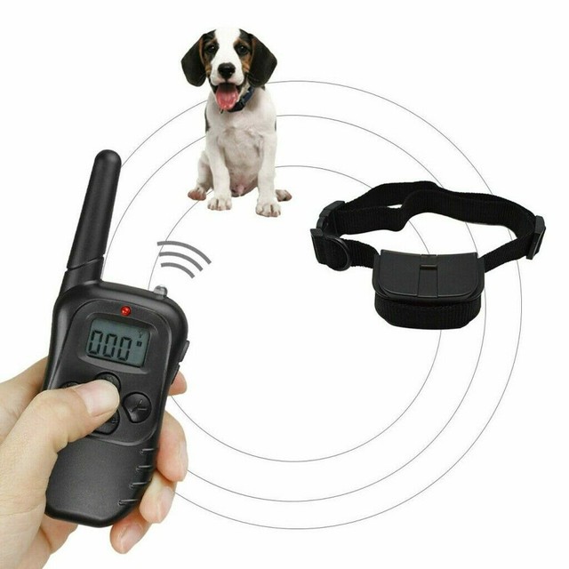 boifun dog training collar