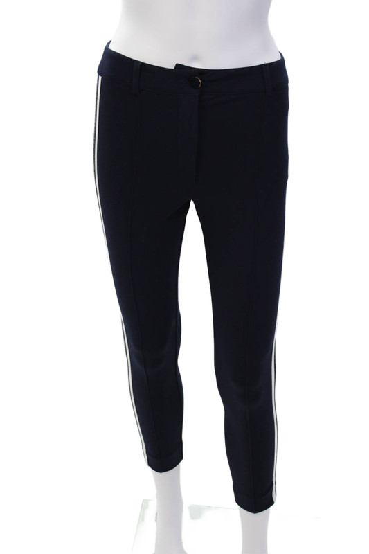 529 Womens Metallic Stripe Detail Pleated Front Skinny Leg Pants Blue Size 36