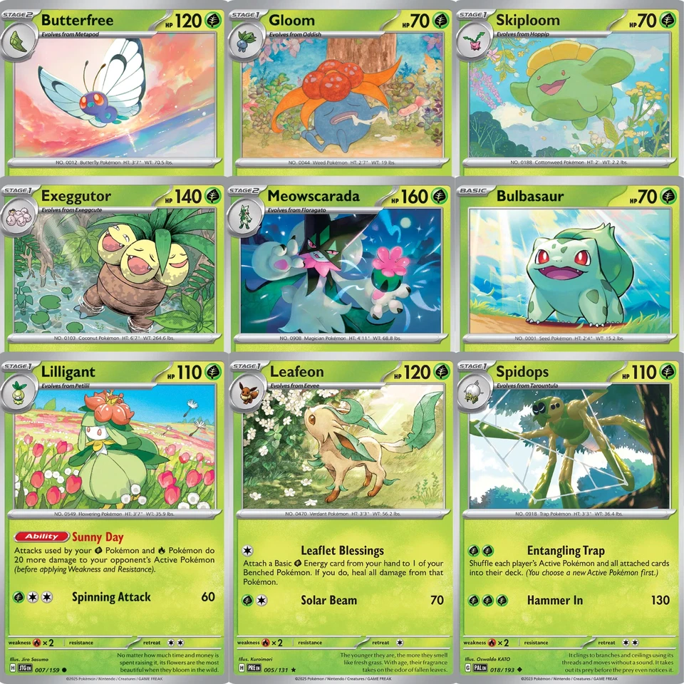 Pokemon Karten Sammlung 🎁10 Stück 🇩🇪Deutsch 🌱Typ Pflanze Geschenk 50-100