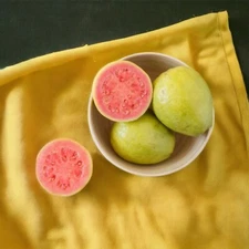 10 Lemon Apple Pink Guava Tree Fruit Seeds From Puerto Rico Non GMO Organic