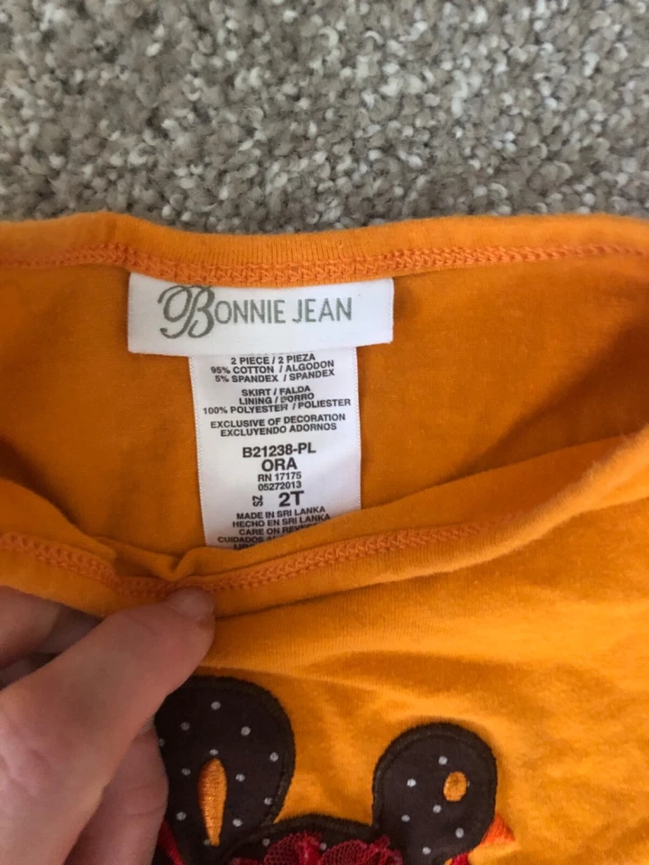 Bonnie Jean 女孩 2T Thanksgiving Turkey Ruffles Ribbon Sparkle Top Tunic Dressy — 第 4/4 张图片