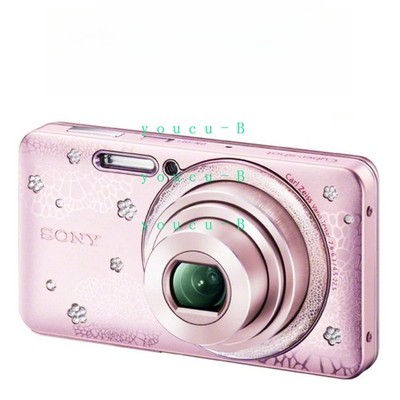 Sony Cyber-shot DSC-W570D 16MP 5x Zoom 25mm Wide Angle Digital Camera HD pink