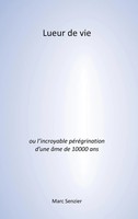 Lueur De Vie L'incroyable PéRéGrination D'une âMe De 10000 Ans Marc Senzier Buch
