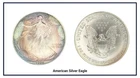 1992 1 oz Silver American Eagle Toned