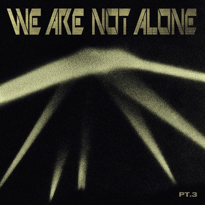 Various We Are Not Alone-Part 3 (Vinyl) 12'' Album