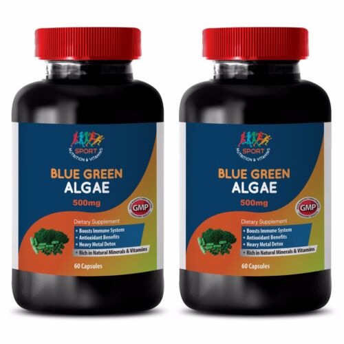 weight loss men - ORGANIC BLUE GREEN ALGAE 500MG 2B - spirulina with protein - Picture 1 of 12