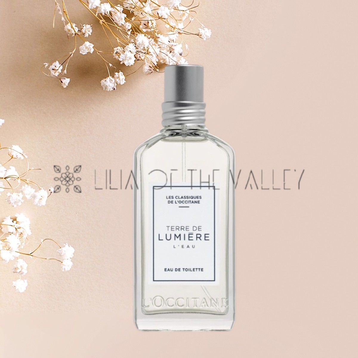 その他 L'Occitane TERRE DE LUMIERE L'EAU 50ml L'Occitane en Provence Terre de Lumiere L'Eau Eau de Toilette 50