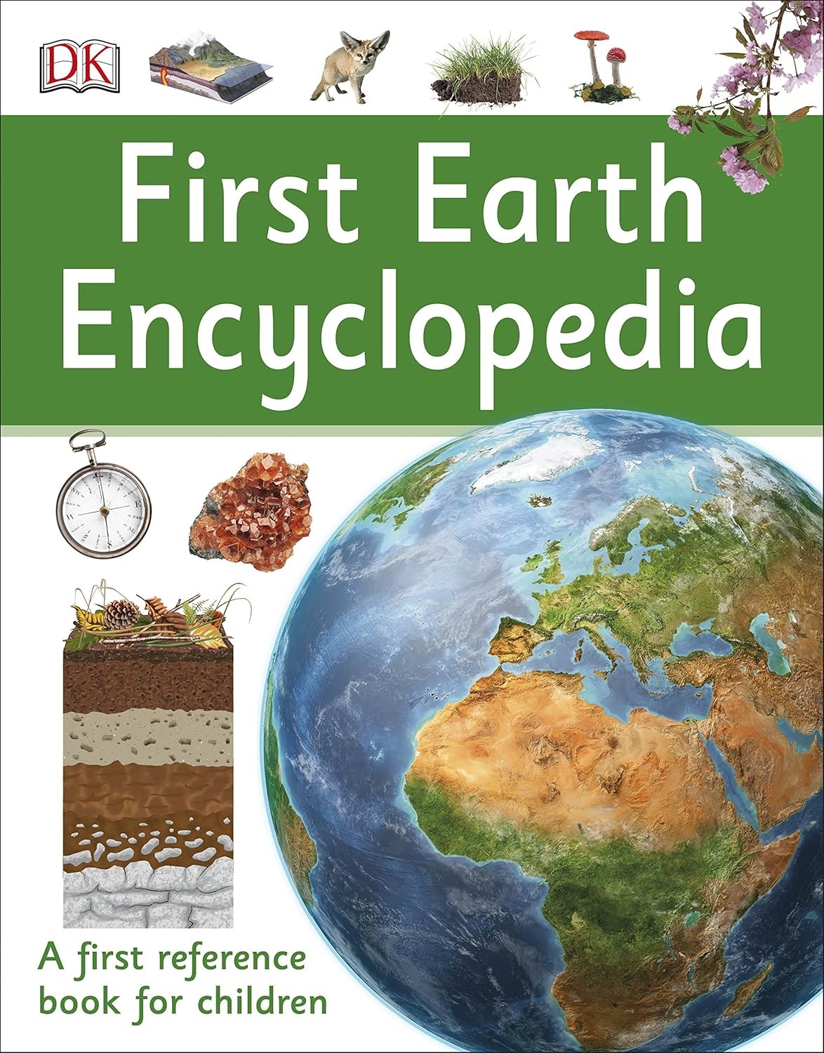 First Earth Encyclopedia by DK (Paperback Book) - Image 8