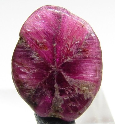 EXCEPTIONAL AESTHETIC GEM POLISHED RUBY TRAPICHE!!! BURMA