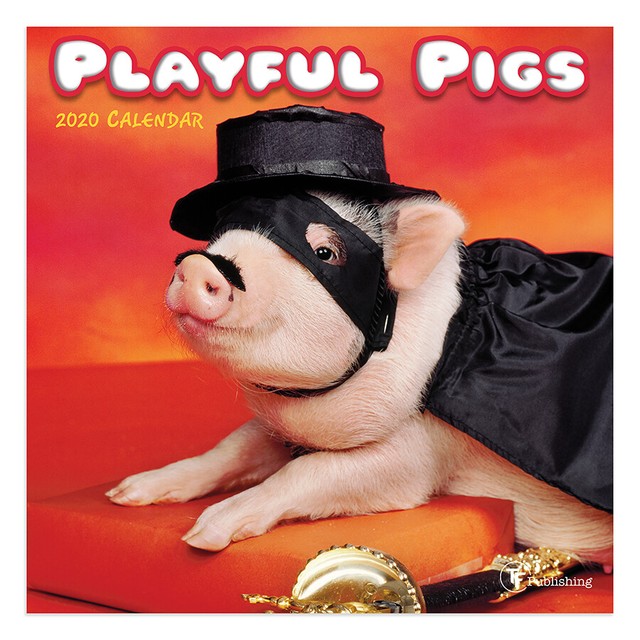 2020 Playful Pigs Mini Calendar | eBay