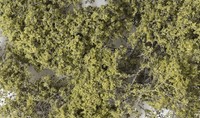 Woodland Scenics Fine Leaf Foliage - Olive Green (Us Import)