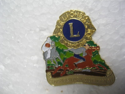 Lions Club Pin 1980-1981 New York Dist 20 RI