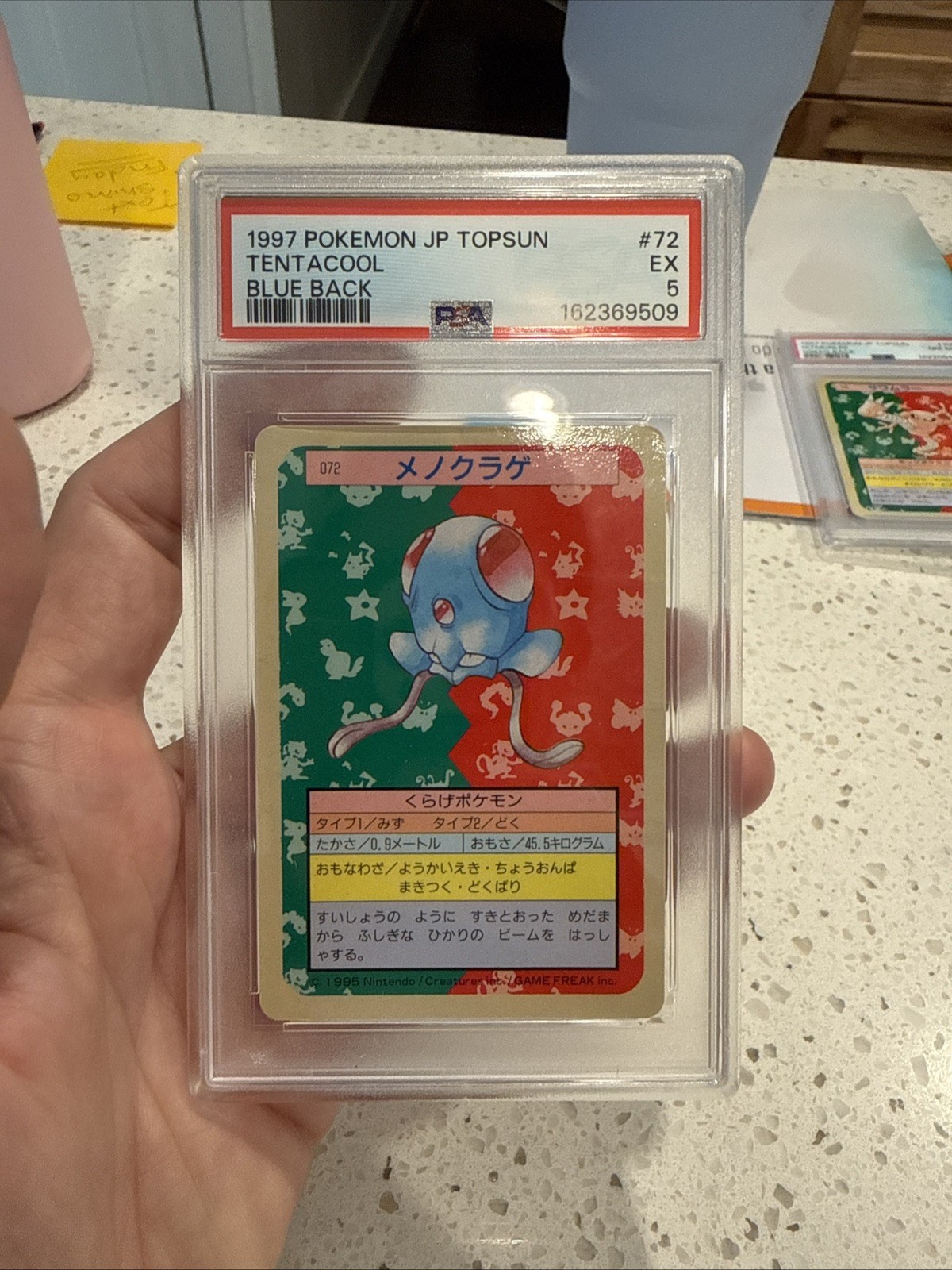 1997 POKEMON JP TOPSUN TENTACOOL BLUE BACK #72 PSA 5