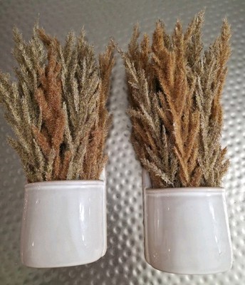 Wall Planters Ceramic Wheat Stalk Decor Set Of.2