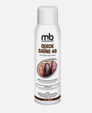 Moneysworth & Best Quick Shine 48 Shoe Boot Spray With Lanolin 14 oz (400 g)
