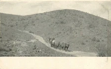 c1910 Castle Hot Springs Arizona road Horse Carriage Postcard 25-10977
