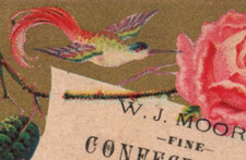 1880s W.J. Moore Candy Maker Fine Confectioner Hummingbird F142