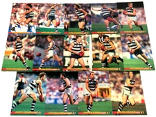 1994 SELECT AFL ULTIMATE CARD SERIES FULL BASE CARD TEAM SET-GEELONG (14)