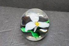Handblown Art Glass Paperweight Glass Polished Bottom White Trillium Harry Boyer