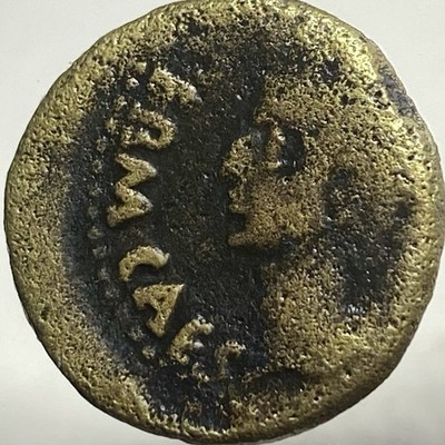 Emperor Octavian Augustus 19BC-14AD Colonia Patricia Province Ancient Roman Coin