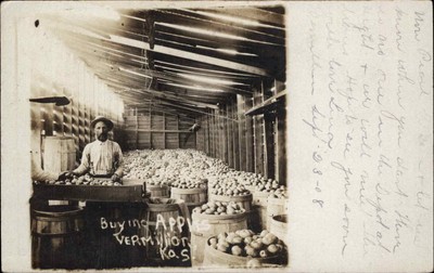VERMILLION KANSAS KS Apple Seller Fruit Market Antique RPPC