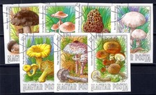 HUNGARY 1984 3708-3714B used FLAWLESS SET MUSHROOMS unperforated (05578