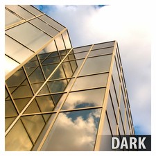 BDF PRGD Window Film Heat Control and Daytime Privacy Gold out, Silver in