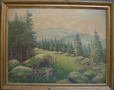 Unclearly Signed Needle Forest Fir Clearing Rocks Alps Green Meadow Antique