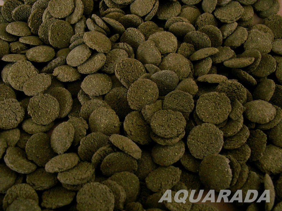 ca.500/220g.Futtertabletten Welstabletten Wels ships Welsships Algenfresser