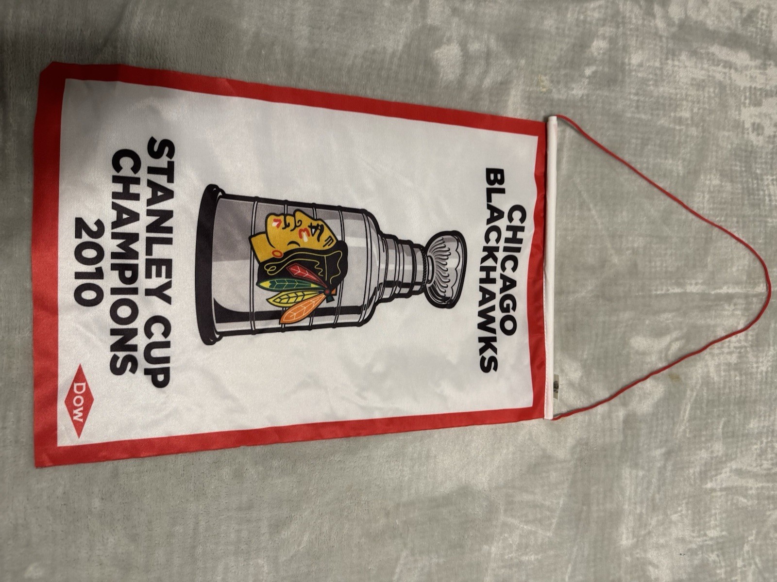Chicago Blackhawks 2010 Stanley Cup 11.5” x 17