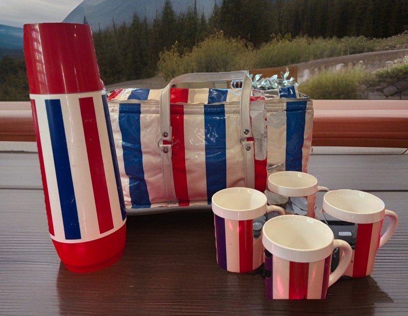 VINTAGE Thermo-Serv Picnic Cooler Bag w/ Thermos & 4 mugs nostalgic collectible!