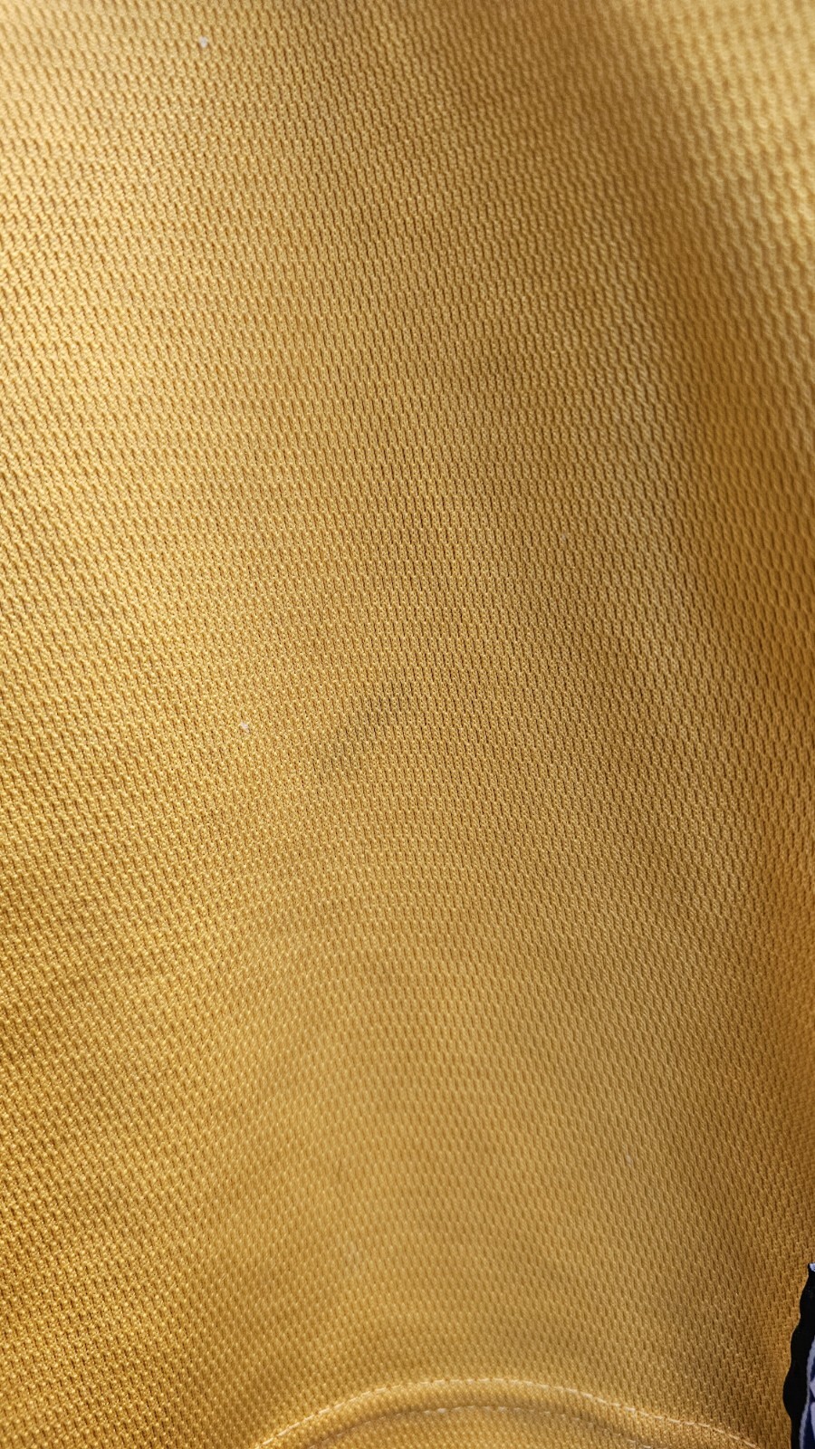 Picture 7 of 12