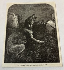 1877 magazine engraving ~ DOG HOWLING AT OWNER'S GRAVE