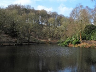 Foto A2 Der Teich im Fischteich Wald Pateley Brücke Ein großer Teich, oder vielleicht um 2018