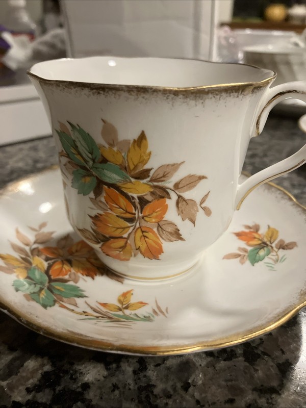Vintage Radfords Bone China Cup and S
