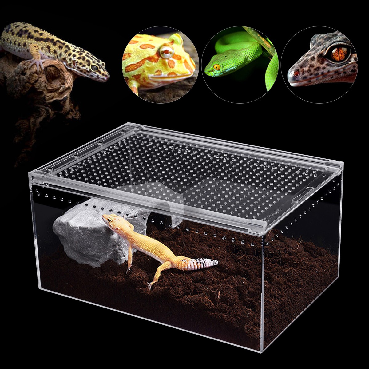 2.5 Gallon Magnetic Acrylic Large Enclosure Reptile Breeding Box