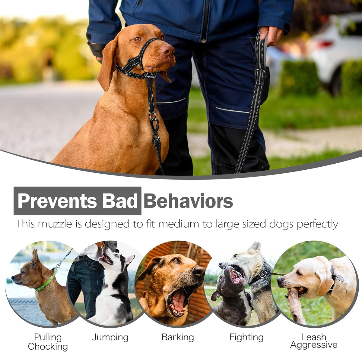 Easy Walk Gentle Leader Sizing Gentle Leader For Dogs Medium No