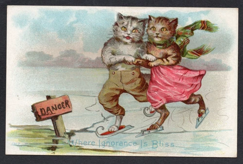 Postcard Cat art Anthropomorphic comic Ice Skating antique