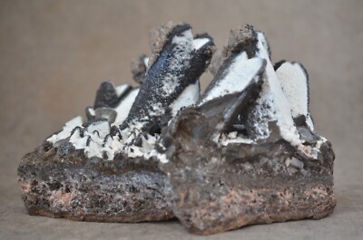 Gorgeous Calcite Specimen Palmarejo Mine Palmarejo Chínipas Municipality Chih MX