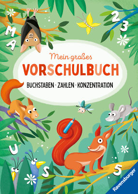 Theresia Koppers; Kirstin Jebautzke; Theresia Koppers / Mein großes Vorschulbuch