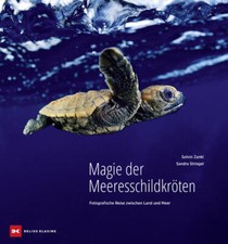 Magie der Meeresschildkröten | Sandra Strieg...
