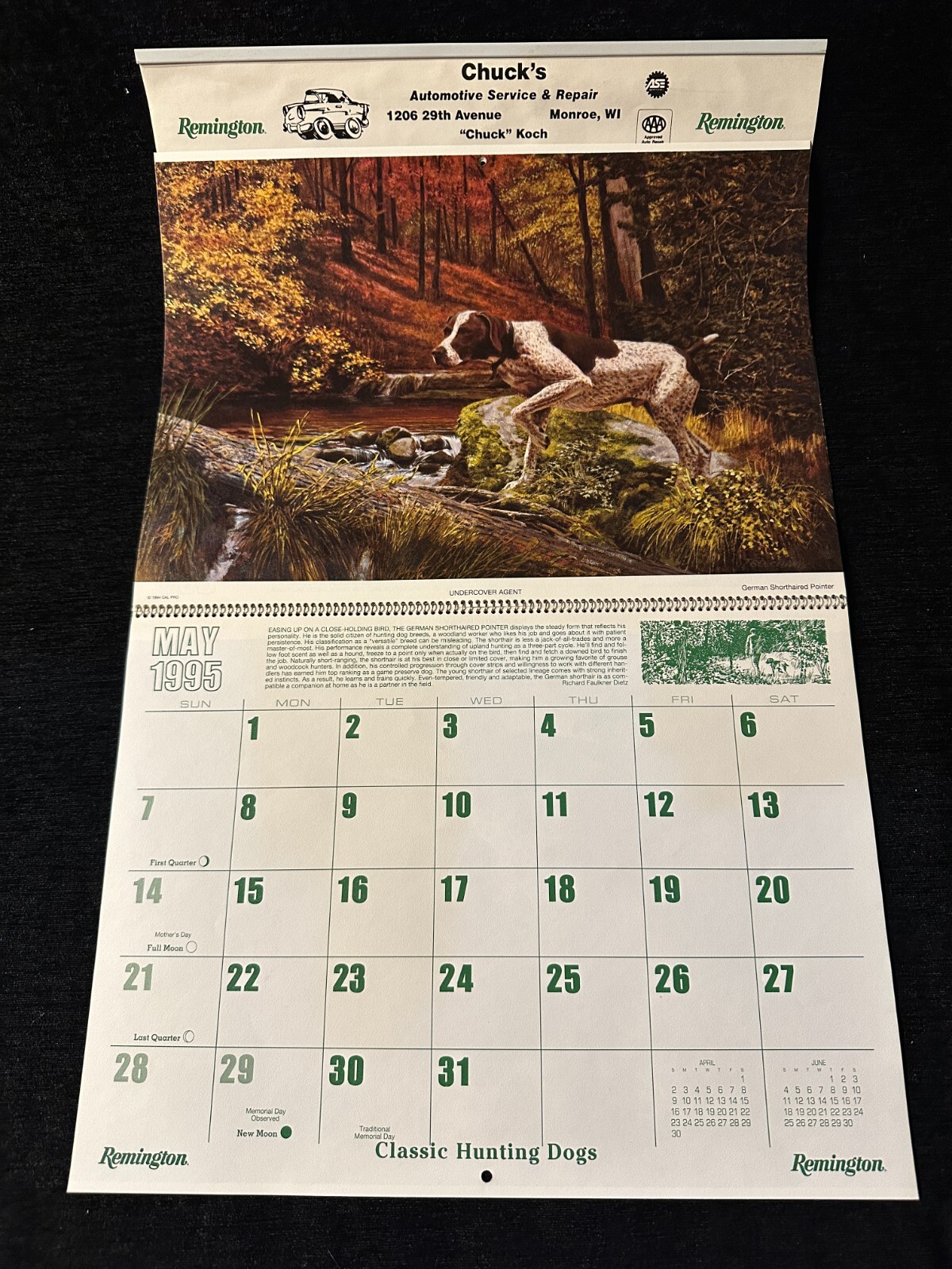 Picture 5 of 6