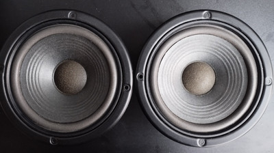 1 Paar JBL A 606 Tieftöner Woofer für JBL LX 300 Sicken Neu