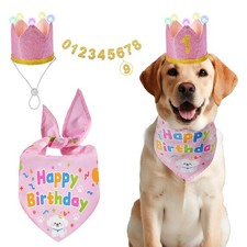 Dog Birthday Hat with Bandana Light Up Hats Dog Birthday Party Outfit Large Pink