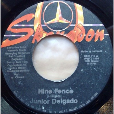 Junior Delgado - Nine Fence (7'') (Near Mint (NM or M-)) - 4086565357