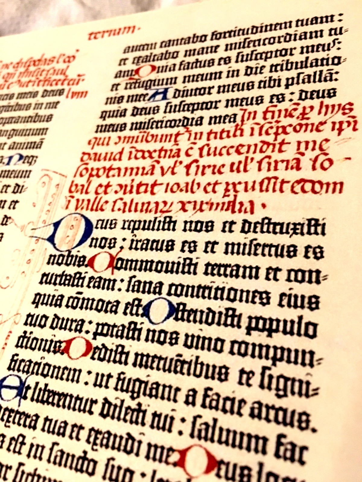 Gutenberg Bible Leather Reproduction AIESEC en Colombia