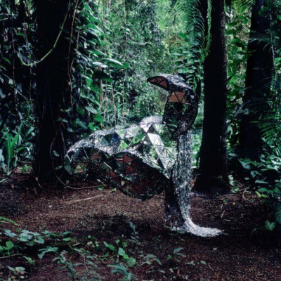 CSS - Donkey CD (2008) Audio Quality Guaranteed Reuse Reduce Recycle