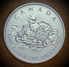 2004 Artic Fox Coin 1 Troy Oz 99.99 Silver Coin/Capsule ONLY From Fraction Set