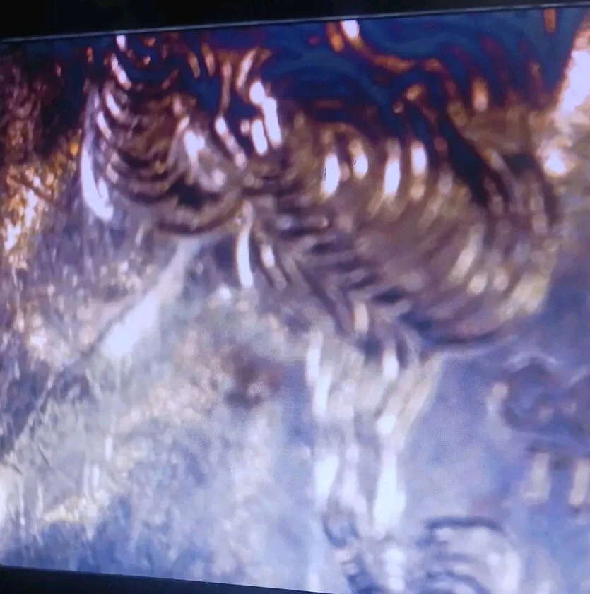 Rare 1999 D Georgia Error Quarter Strikerhrough On Obverse - Image 2 of 4